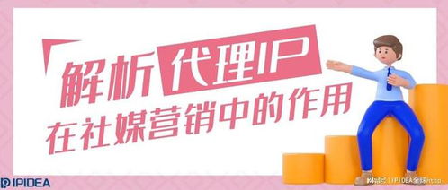 代理IP與代理服務(wù) 社媒營銷中的隱形引擎